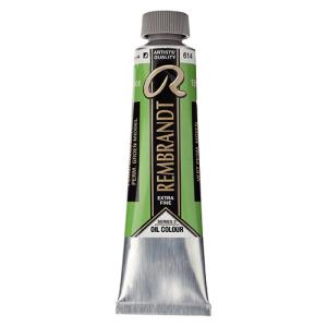 Royal Talens Rembrandt Oil Colour - (1.4oz/40ml) Permanent Green Medium