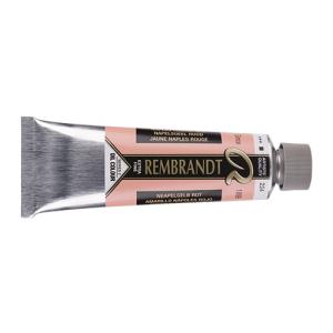 Royal Talens Rembrandt Oil Colour - (5oz/150ml) 224 Naples Yellow Red Series 2