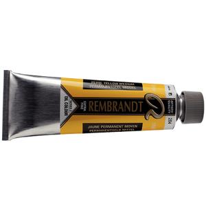Royal Talens Rembrandt Oil Colour - (5oz/150ml) 284 Permanent Yellow Medium Series 3