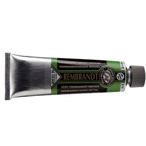 Royal Talens Rembrandt Oil Colour - (5oz/150ml) 614 Permanent Green Medium Series 3