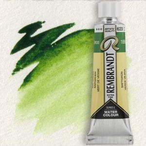 Royal Talens Rembrandt Watercolour - (0.6oz/20ml) Sap Green 623