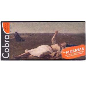 Royal Talens Cobra Water Mixable Oil Paint Artist -The Peasants Landscape Set