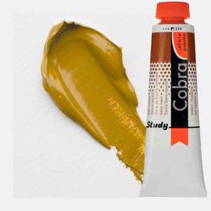 Royal Talens Cobra Study Water Mixable Oil Paint 40ml Raw Sienna 234