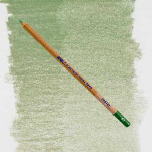 Bruynzeel Design Pastel Pencil - Dark Leaf Green