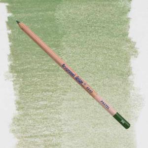 Bruynzeel Design Pastel Pencil - Sap Green