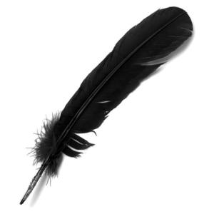 Large Craft Quill Feathers - (24 Pieces) Black
