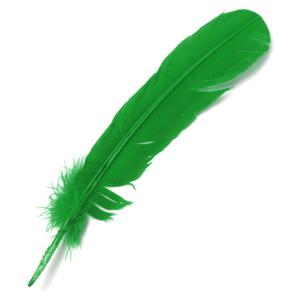 Large Craft Quill Feathers - (24 Pieces) Green