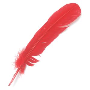 Large Craft Quill Feathers - (24 Pieces) Red