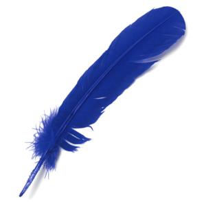 Large Craft Quill Feathers - (24 Pieces) Blue