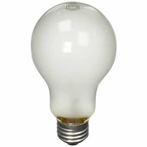 Speedball Photo Flood Bulb (250 Watt)