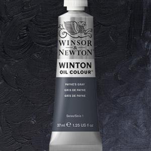 Winsor & Newton Winton Oil Colour Paint - (1.25oz/37ml) Payne's Gray
