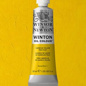 Winsor & Newton Winton Oil Colour Paint - (6.75oz/200ml) Cadmium Yellow Pale Hue