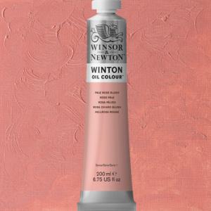 Winsor & Newton Winton Oil Colour Paint - (6.75oz/200ml) Pale Rose Blush-( Flesh Tint)